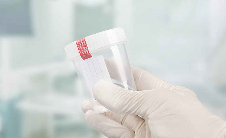 Chol kokrakni silaydi Keksa ayollar qinining porno fotosuratlari